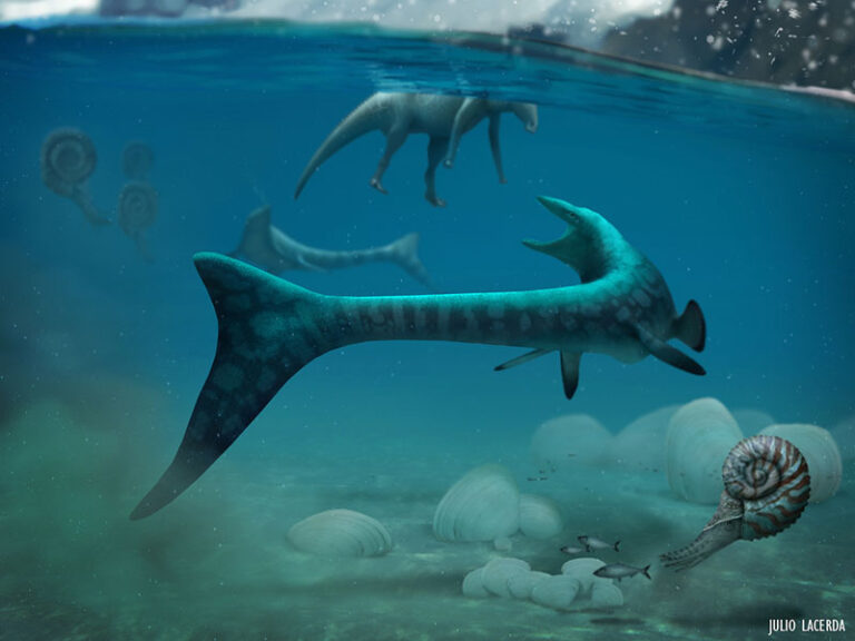 Proses Kepunahan Reptilia Laut Raksasa