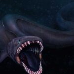 Frilled Shark Ikan Purba yang Hampir Tak Berubah Sejak Zaman Dinosaurus